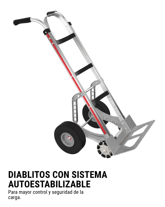 diablitos con sistema autoestabilizable descriptiva (1) (1)