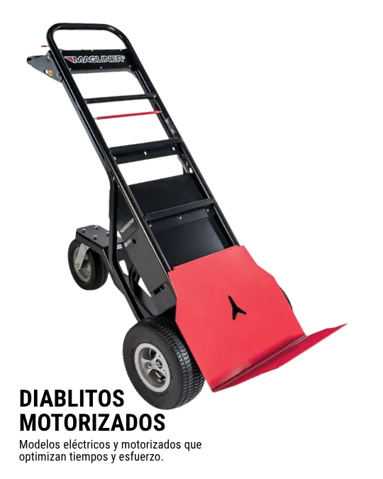 motorizado (1) (1)